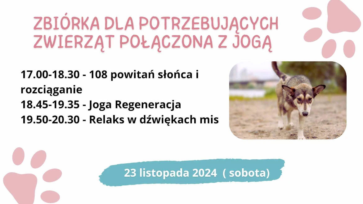 ZBIÓRKA DLA POTRZEBUJĄCYCH ZWIERZĄT POŁĄCZONA Z PRAKTYKĄ JOGI